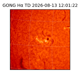 gong - 2026-08-13T12:01:22