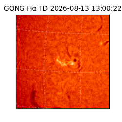 gong - 2026-08-13T13:00:22