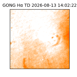 gong - 2026-08-13T14:02:22