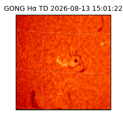 gong - 2026-08-13T15:01:22
