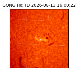 gong - 2026-08-13T16:00:22