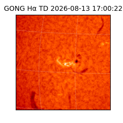 gong - 2026-08-13T17:00:22