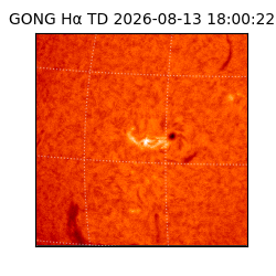 gong - 2026-08-13T18:00:22