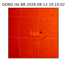 gong - 2026-08-13T19:10:02