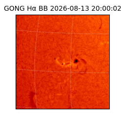 gong - 2026-08-13T20:00:02
