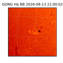 gong - 2026-08-13T21:00:02
