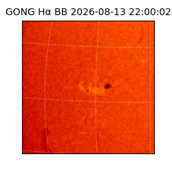 gong - 2026-08-13T22:00:02