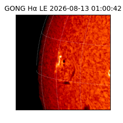 gong - 2026-08-13T01:00:42
