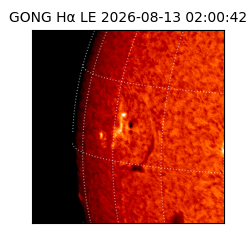 gong - 2026-08-13T02:00:42