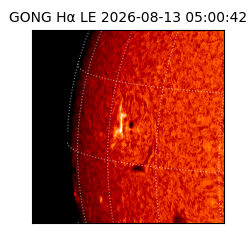 gong - 2026-08-13T05:00:42