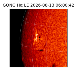gong - 2026-08-13T06:00:42