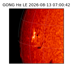 gong - 2026-08-13T07:00:42
