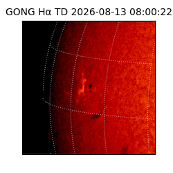 gong - 2026-08-13T08:00:22