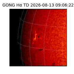 gong - 2026-08-13T09:06:22