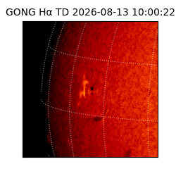 gong - 2026-08-13T10:00:22