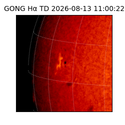 gong - 2026-08-13T11:00:22
