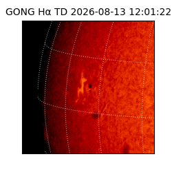 gong - 2026-08-13T12:01:22