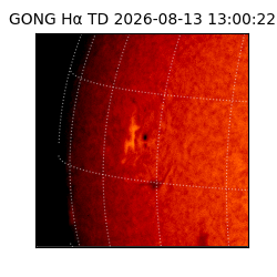 gong - 2026-08-13T13:00:22