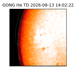 gong - 2026-08-13T14:02:22