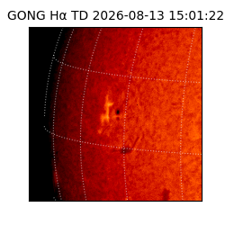 gong - 2026-08-13T15:01:22