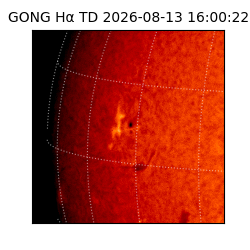 gong - 2026-08-13T16:00:22
