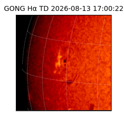 gong - 2026-08-13T17:00:22