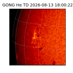 gong - 2026-08-13T18:00:22