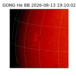 gong - 2026-08-13T19:10:02