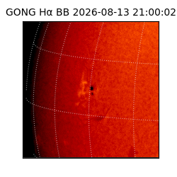 gong - 2026-08-13T21:00:02