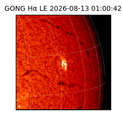 gong - 2026-08-13T01:00:42