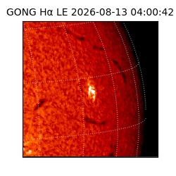 gong - 2026-08-13T04:00:42