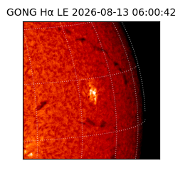 gong - 2026-08-13T06:00:42