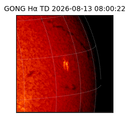 gong - 2026-08-13T08:00:22
