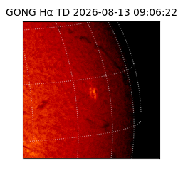 gong - 2026-08-13T09:06:22