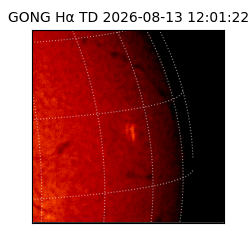 gong - 2026-08-13T12:01:22