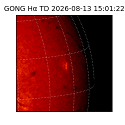 gong - 2026-08-13T15:01:22