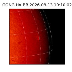 gong - 2026-08-13T19:10:02