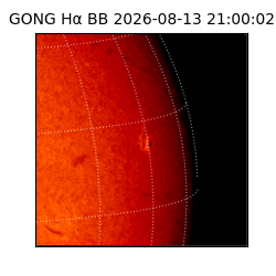 gong - 2026-08-13T21:00:02