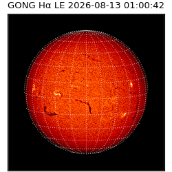 gong - 2026-08-13T01:00:42