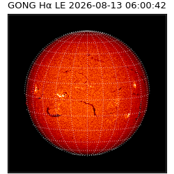 gong - 2026-08-13T06:00:42