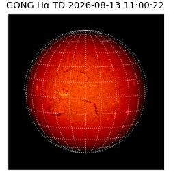 gong - 2026-08-13T11:00:22