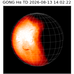 gong - 2026-08-13T14:02:22