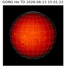gong - 2026-08-13T15:01:22