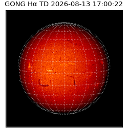 gong - 2026-08-13T17:00:22
