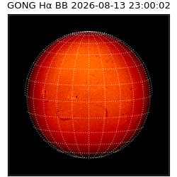 gong - 2026-08-13T23:00:02