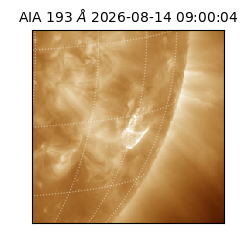 saia - 2026-08-14T09:00:04.842000
