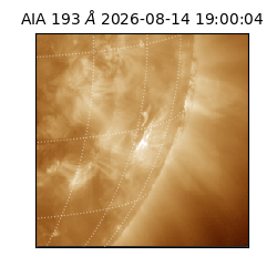 saia - 2026-08-14T19:00:04.842000