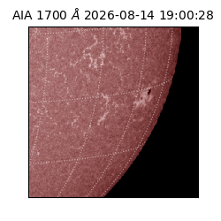 saia - 2026-08-14T19:00:28.728000