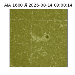 saia - 2026-08-14T09:00:14.122000
