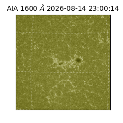 saia - 2026-08-14T23:00:14.124000